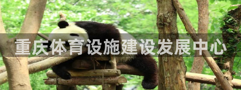 意昂体育4招商电话是多少