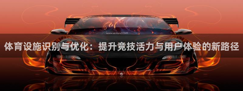 意昂体育4是干嘛的公司：体育设施识别与优化：提升竞技