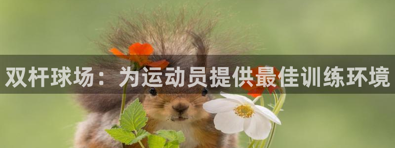 意昂体育4招商电话号码查询是多少：双杆球场：为运动员