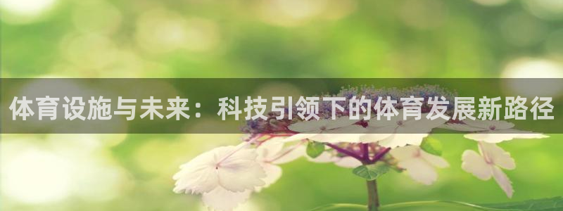 意昂4娱乐首页网站大全：体育设施与未来：科技引领下的