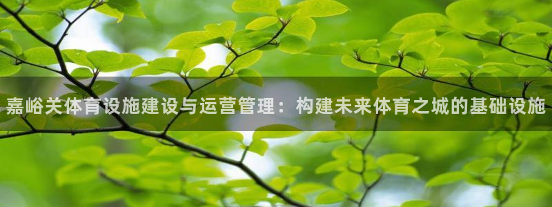 意昂4集团简介：嘉峪关体育设施建设与运营管理：构建未来体育之