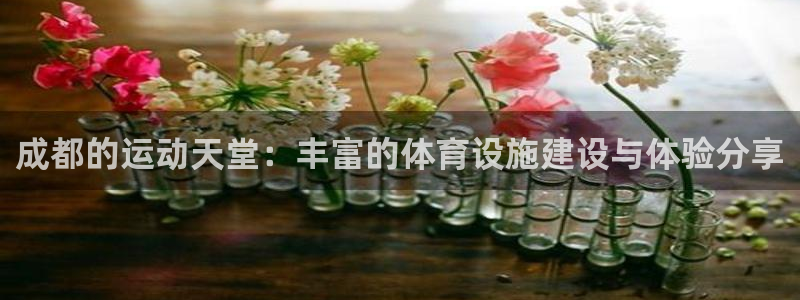 意昂体育4平台是正规平台吗安全吗：成都的运动天堂：丰