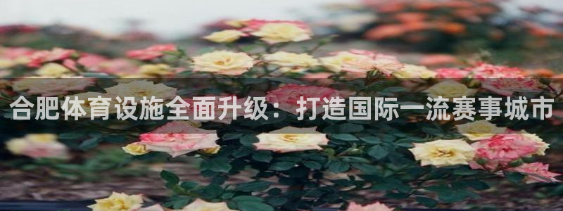 意昂体育4招商电话号码：合肥体育设施全面升级：打造国
