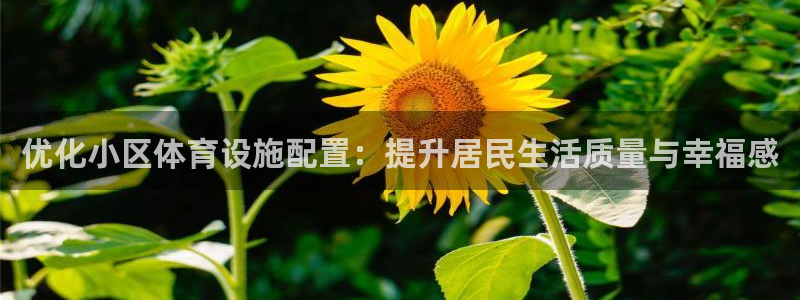 意昂体育4招商电话：优化小区体育设施配置：提升居民生