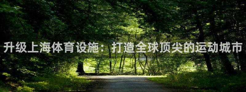 意昂4娱乐代理怎么样：升级上海体育设施：打造全球顶尖的运动城