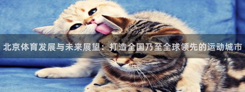 意昂平台体育：北京体育发展与未来展望：打造全国乃至全