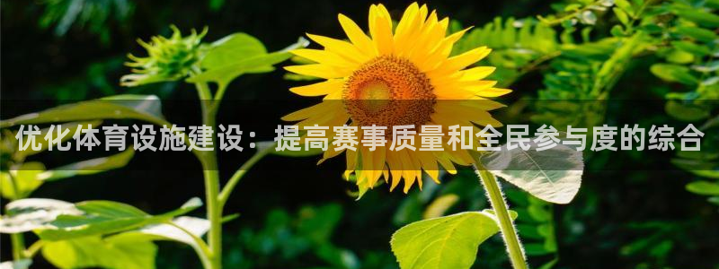 意昂4娱乐平台：优化体育设施建设：提高赛事质量和全民