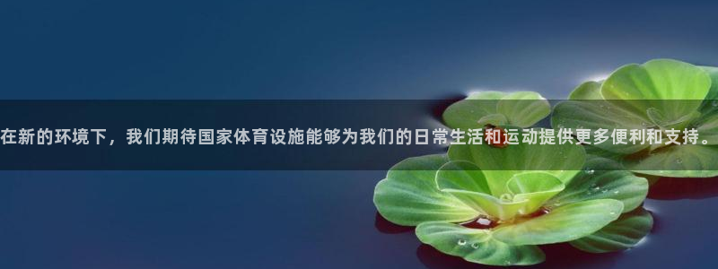 意昂4新能源：在新的环境下，我们期待国家体育设施能够