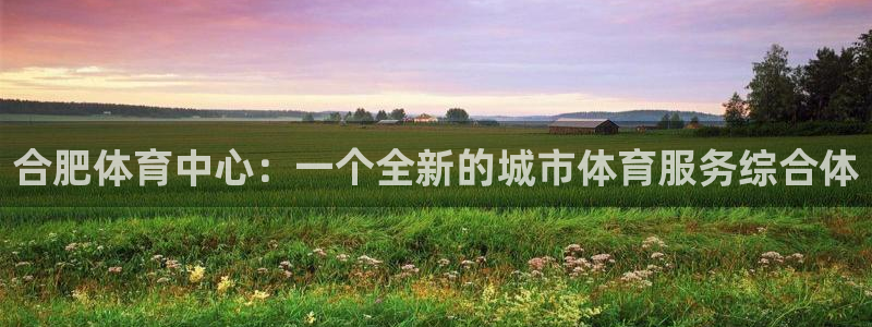 意昂4集团官网网址：合肥体育中心：一个全新的城市体育