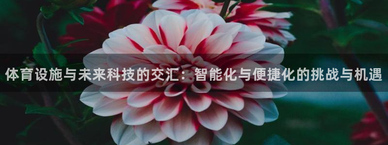 意昂体育4平台是正规平台吗安全吗