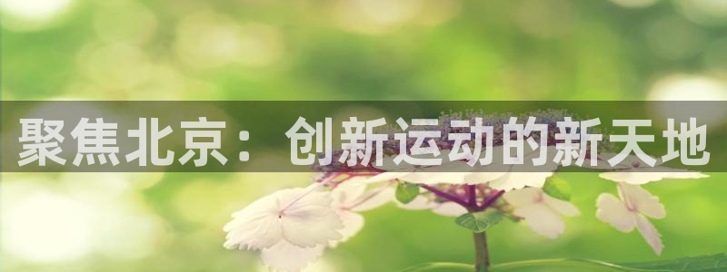 意昂4娱乐：聚焦北京：创新运动的新天地