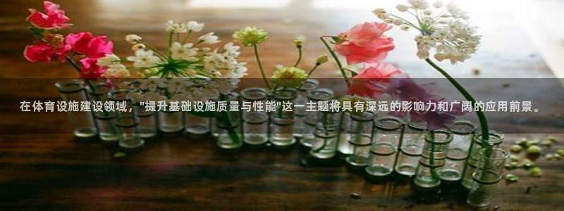 意昂体育4：在体育设施建设领域，\