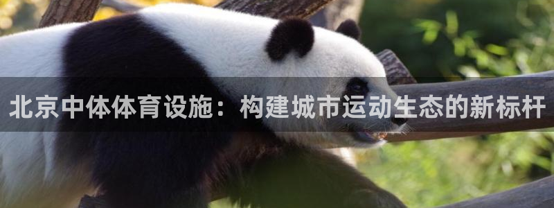意昂体育4平台是正规平台吗：北京中体体育设施：构建城