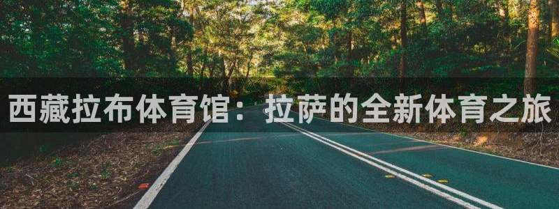 意昂体育4官方客服电话：西藏拉布体育馆：拉萨的全新体育之旅