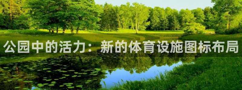 意昂4官网：公园中的活力：新的体育设施图标布局