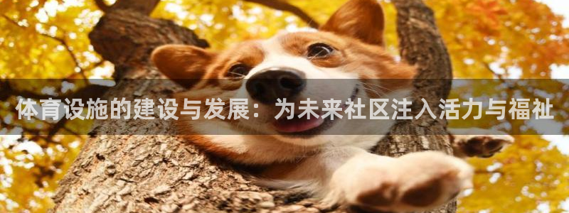 意昂体育4招商电话是多少号码：体育设施的建设与发展：