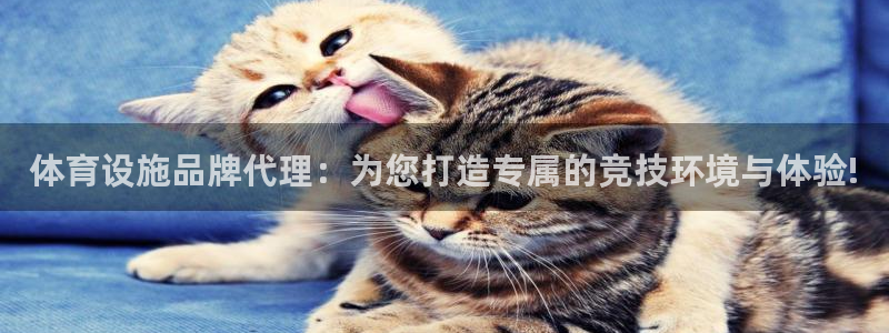 海南意昂体育4：体育设施品牌代理：为您打造专属的竞技环境与体