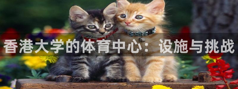 意昂体育4联系电话：香港大学的体育中心：设施与挑战 
