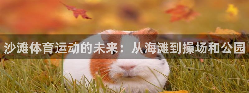 意昂4神州：沙滩体育运动的未来：从海滩到操场和公园