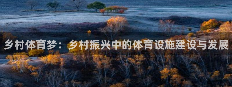 意昂4新能源：乡村体育梦：乡村振兴中的体育设施建设与