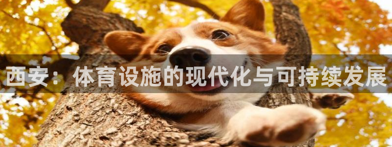 意昂4新能源：西安：体育设施的现代化与可持续发展