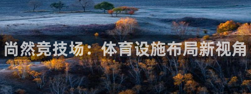 意昂4官方：尚然竞技场：体育设施布局新视角