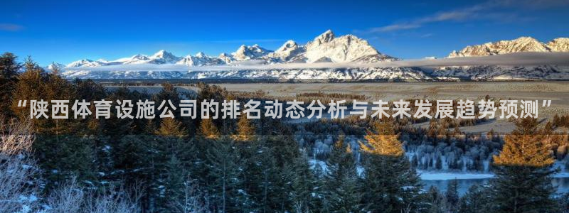 意昂集团官网：“陕西体育设施公司的排名动态分析与未来