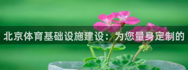 意昂4集团官网首页：北京体育基础设施建设：为您量身定