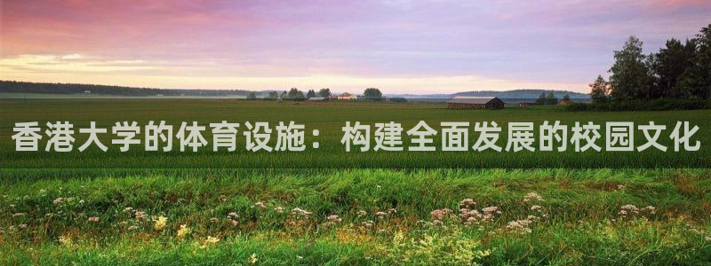 意昂体育4招商电话号码查询：香港大学的体育设施：构建