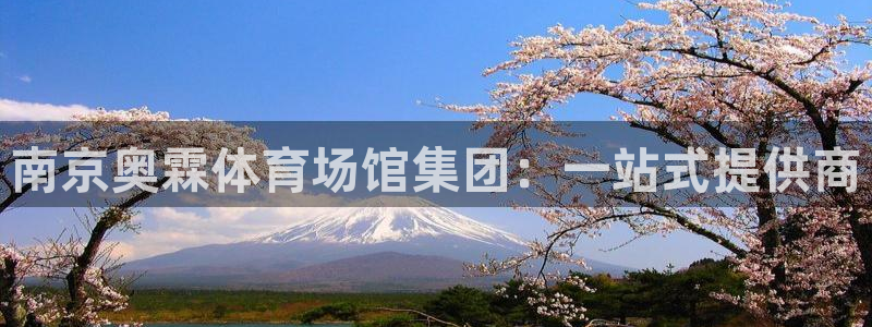 意昂4娱乐网站：南京奥霖体育场馆集团：一站式提供商
