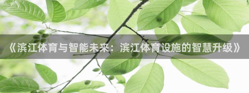 意昂4开户：《滨江体育与智能未来：滨江体育设施的智慧