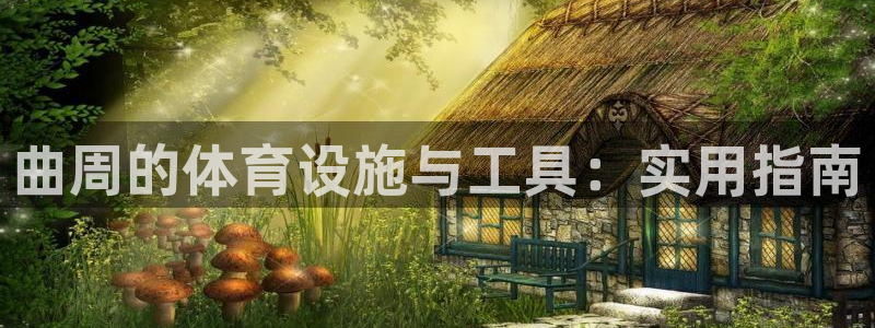 意昂4娱乐下载：曲周的体育设施与工具：实用指南