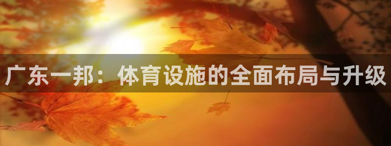 意昂4娱乐首页网站大全：广东一邦：体育设施的全面布局