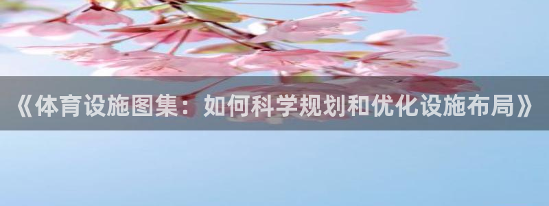 意昂体育4娱乐：《体育设施图集：如何科学规划和优化设