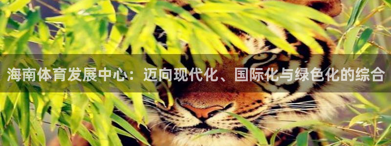 意昂平台体育：海南体育发展中心：迈向现代化、国际化与