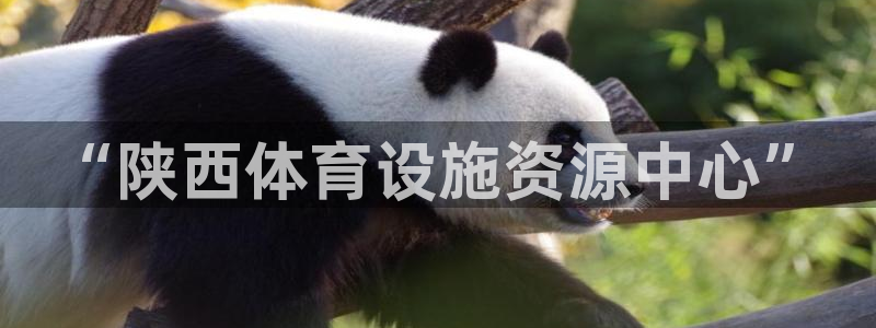 意昂体育4开户：“陕西体育设施资源中心”