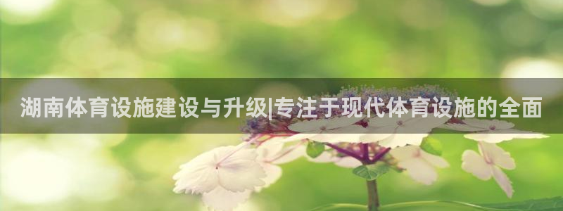 意昂体育4平台APP：湖南体育设施建设与升级|专注于