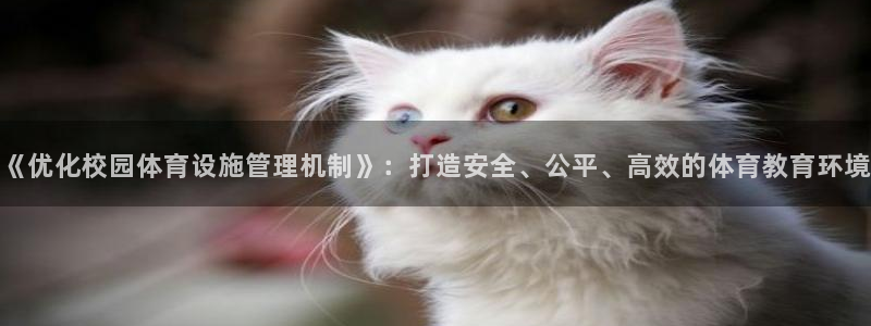 意昂体育4招商电话号码是多少号：《优化校园体育设施管