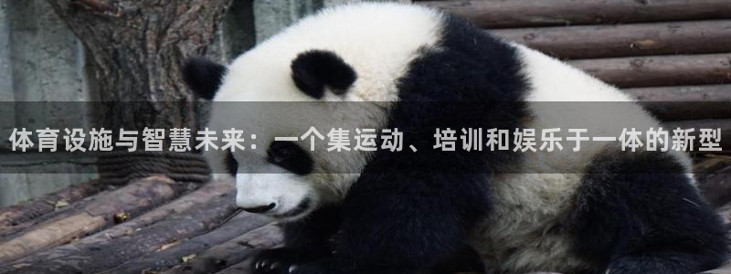 意昂体育4招商：体育设施与智慧未来：一个集运动、培训