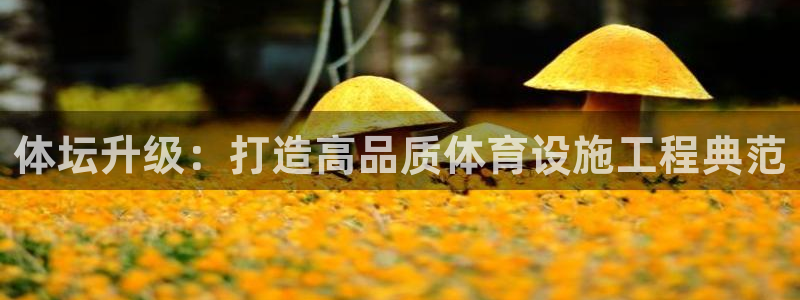意昂体育4招商电话号码：体坛升级：打造高品质体育设施