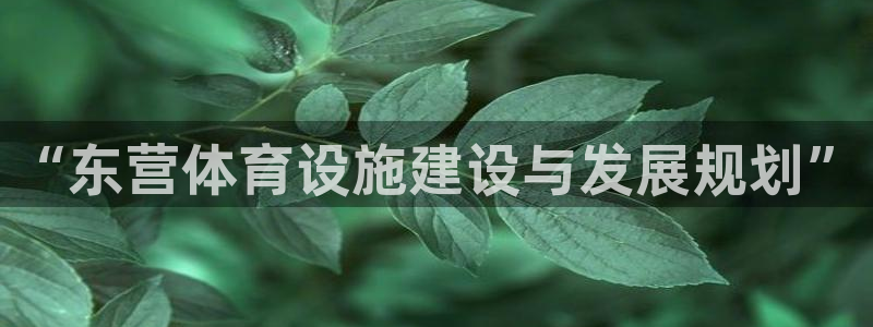 意昂体育4平台注册要钱吗安全吗：“东营体育设施建设与