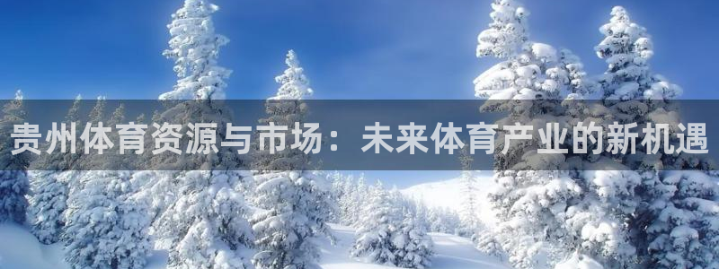 意昂集团官网：贵州体育资源与市场：未来体育产业的新机遇