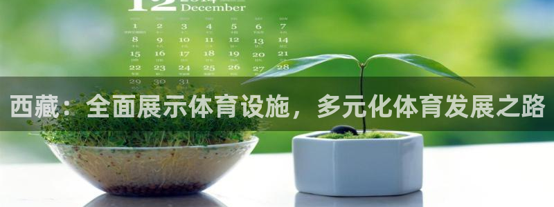 意昂4娱乐40996：西藏：全面展示体育设施，多元化