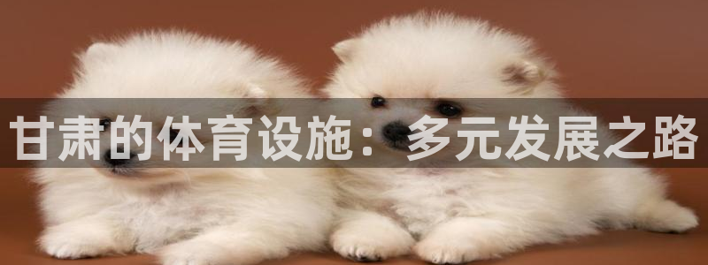 注册意昂4：甘肃的体育设施：多元发展之路