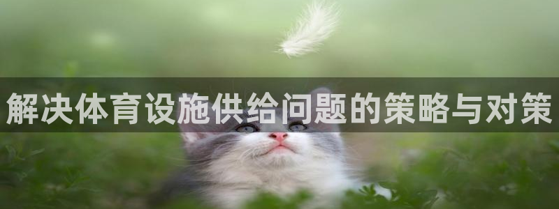 意昂体育4平台注册流程视频：解决体育设施供给问题的策略与对策