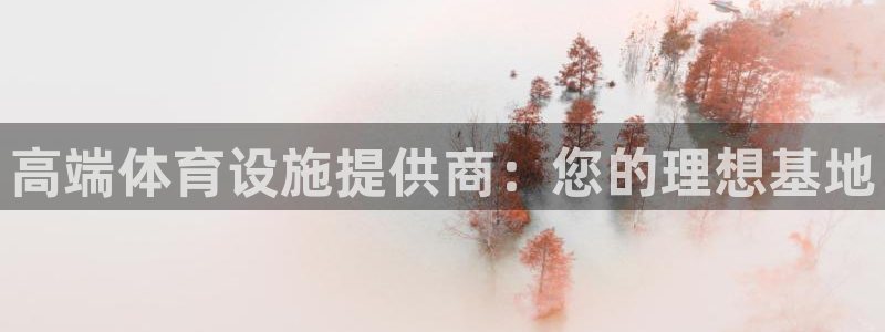 意昂4开户：高端体育设施提供商：您的理想基地