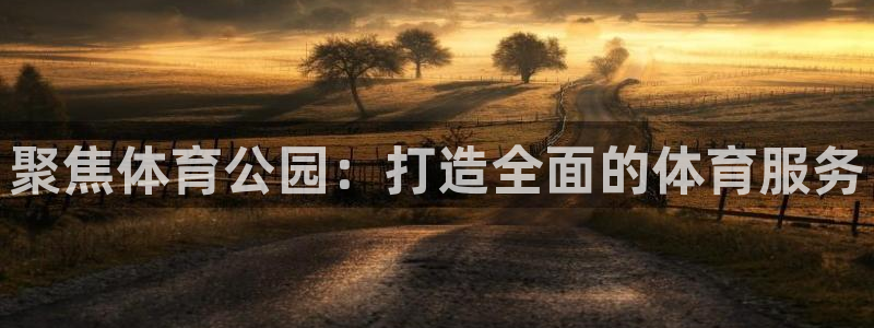 意昂4官网：聚焦体育公园：打造全面的体育服务