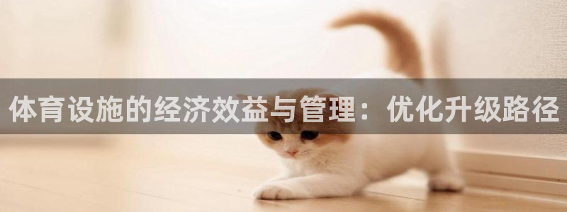 意昂4娱乐是那个系列的台子：体育设施的经济效益与管理