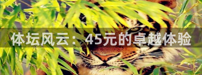 意昂体育4招商电话地址：体坛风云：45元的卓越体验