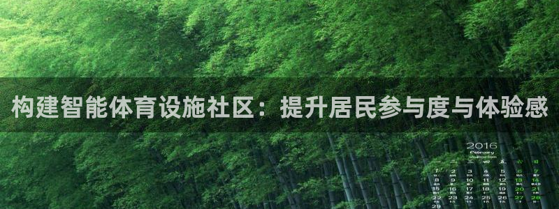 意昂4新能源：构建智能体育设施社区：提升居民参与度与